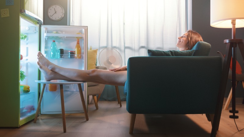 koelkast hittegolf warmte koelen